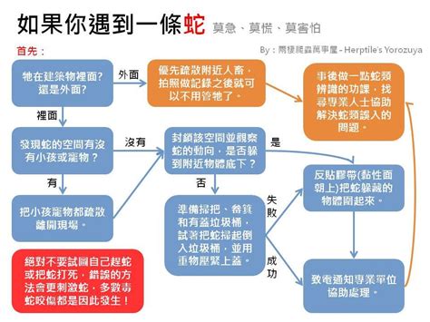 家裡跑蛇|蛇出沒請小心！專家整理「懶人包」教你如何應對｜東 